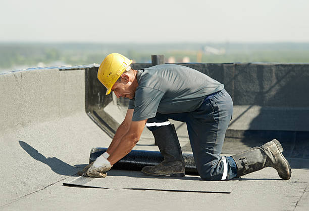 Best Specialty Insulation in Shepherd, TX