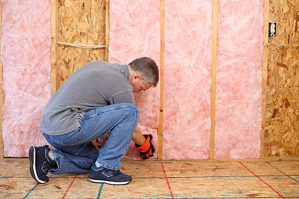 Best Types of Insulation in Shepherd, TX