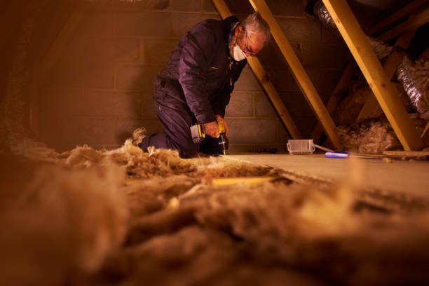 Best Insulation Maintenance and Repair in Shepherd, TX